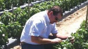 Locally Grown The Lipman Way