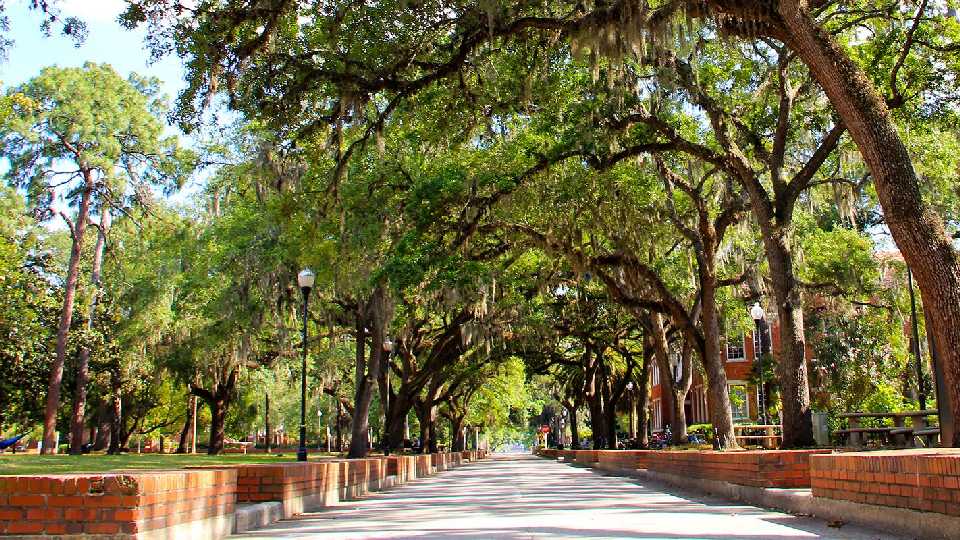 21. University of Florida-Gainesville