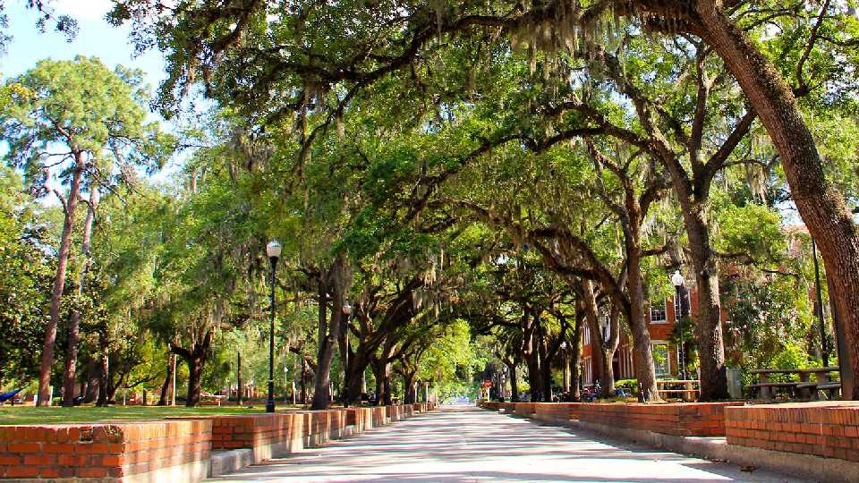 2. University of Florida