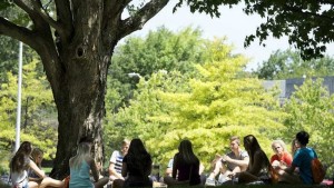 Counting Down The Top U.S. Colleges For Natural Resources And Conservation