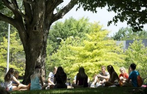 1. Virginia Tech 