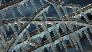 Wicked Winter Coming This Way Says Latest Farmer’s Almanac