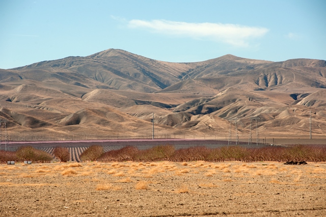 Drought Costing California $1.84 Billion This Year