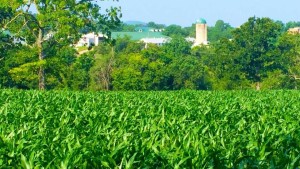9. College of the Ozarks 