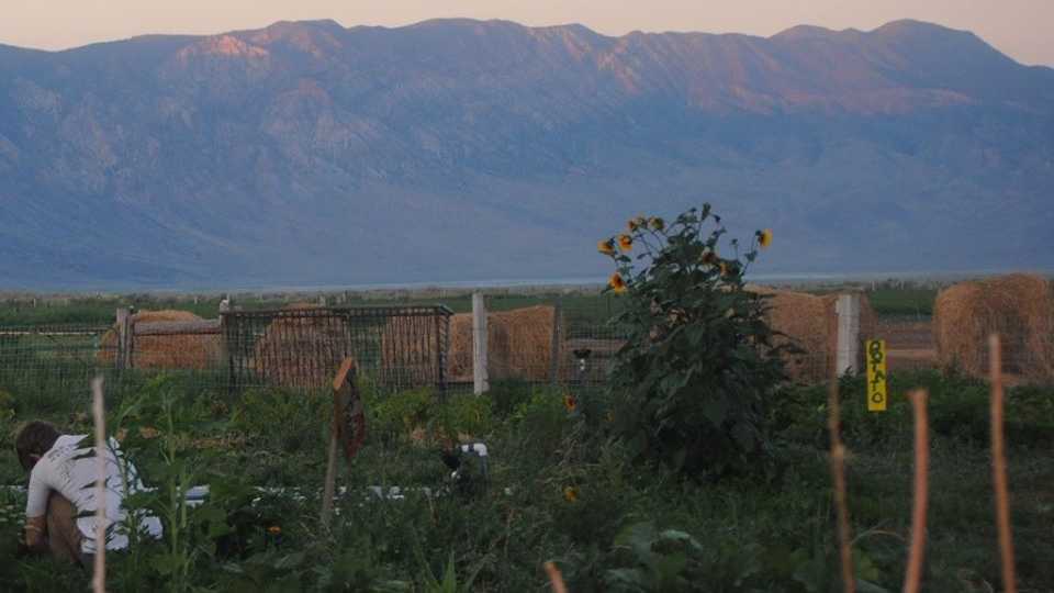 10. Deep Springs College 