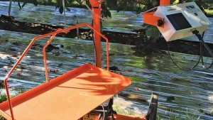 Win/Win For Growers and Pickers: New Weighing System Released