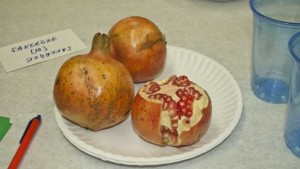 Ways to Price out Pomegranate Production in Florida