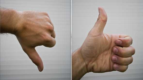 The Last Decade: A Total Disaster, Rousing Success For Florida Agriculture [Opinion]