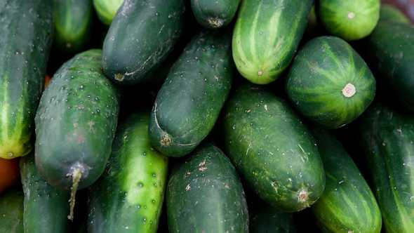 Salmonella Outbreak Connected to Cucumbers