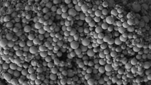 Nanotechnology Could Play Large Role In Asian Citrus Psyllid Control