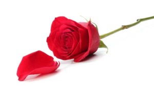 A Farmer’s Road To Riches Is No Bed Of Roses