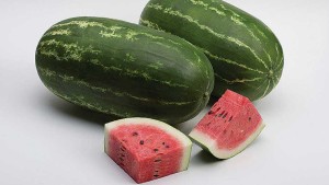 19 Marvelous Melons Bred For Market Impact