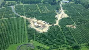 Hard Cider — From Hype To Here To Stay
