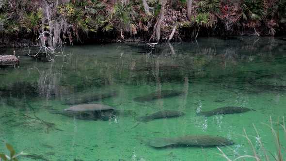 Florida Agriculture Commissioner Pushes For Water Policy