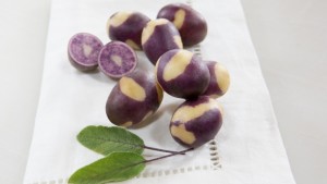 RPE Launches New Potato Varieties