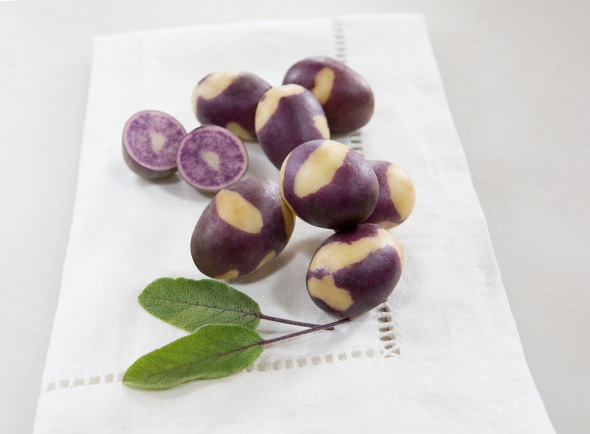 RPE Launches New Potato Varieties