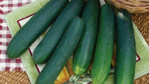 7 Squash And Cucumber Cultivars To Consider