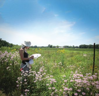 New Video Takes An Inside Look At Pollination Research Growing Produce