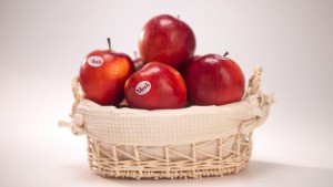Modi Apple Off To Promising Start