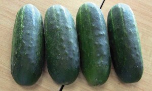 Max Pack - Siegers Seed Co.
