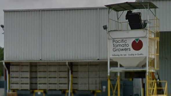 Longtime South Florida Tomato Producer Passes At 83