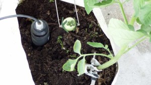 Boost Your Bottom Line:  Reduce Water Usage