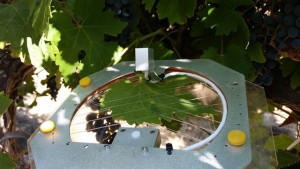 High-Tech Sensor System Allows For Precision Irrigation