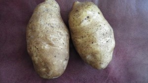 The Importance Of Consistency And Predictability In Potato Varieties