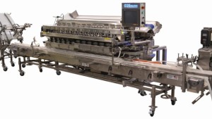 A&B Packing weigh and fill for web