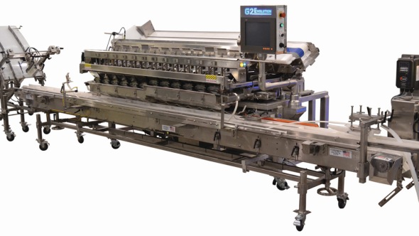 A&B Packing weigh and fill for web