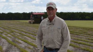 Technology, Turf Experience Moving The Needle For Bethel Farms’ Citrus Groves