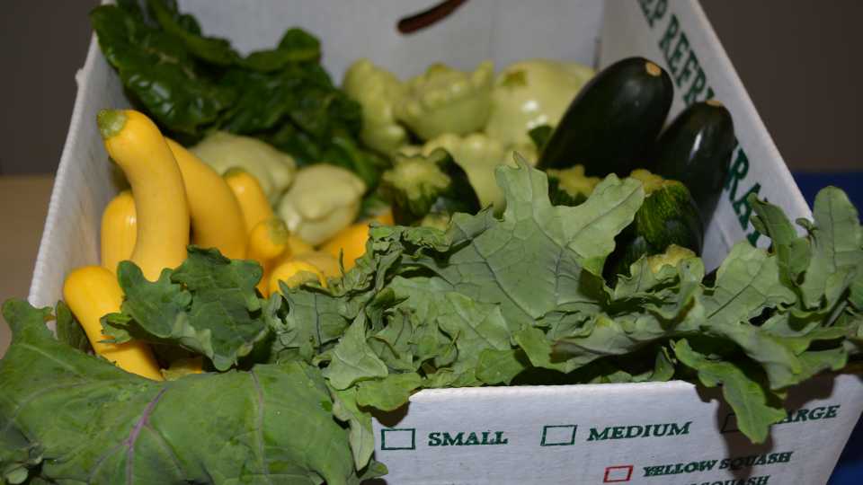 Have Fresh Veggies, Will Travel