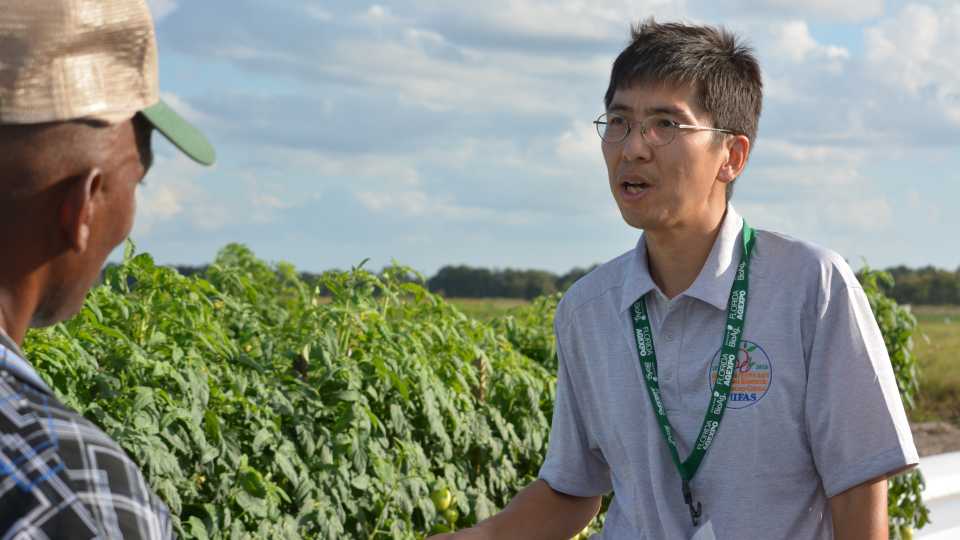 Talking Tomatoes