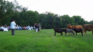 How A Farm Created A Thriving Urban Farm-To-Table Business