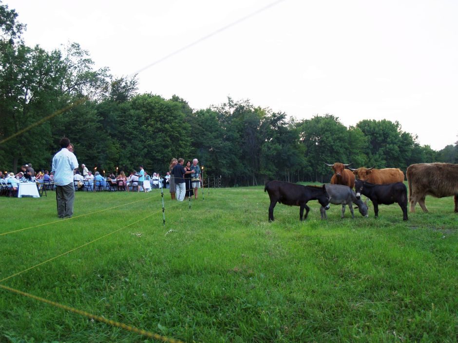 How A Farm Created A Thriving Urban Farm-To-Table Business