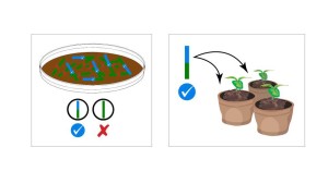 Steps 6 and 7 