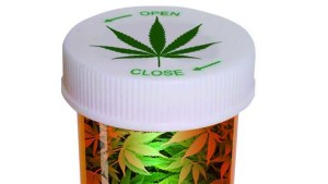 5 Florida Nurseries Selected To Pioneer State’s Medical Marijuana Enterprise