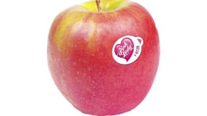 Pink Lady America Nets Trademark Rights To Brand In Chile