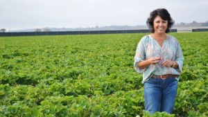 Trailblazing Latina To Lead California Strawberry Commission