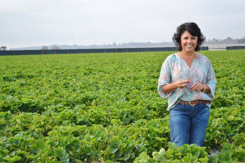 Trailblazing Latina To Lead California Strawberry Commission