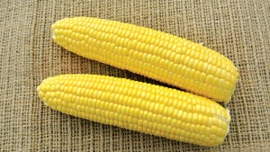 Abbott & Cobb 2015 Vegetable Variety Showcase