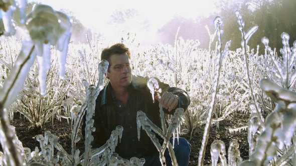 Precision Cold Protection Pointing To Profit For Blueberry Producers