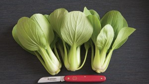 Johnny’s Selected Seeds 2015 Vegetable Variety Showcase