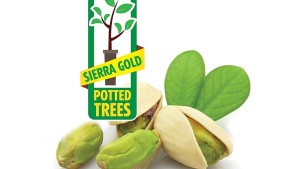 Sierra Gold Nurseries 2016 Variety Showcase [Slideshow]
