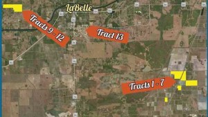 Trio Of Bankruptcy Filings Puts Bushel Of Florida Citrus Acreage On Auction Block