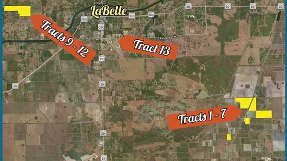 Trio Of Bankruptcy Filings Puts Bushel Of Florida Citrus Acreage On Auction Block