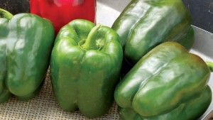 Seedway 2015 Vegetable Variety Showcase