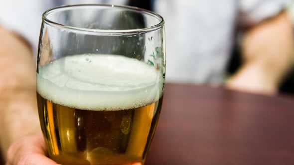 Let’s Raise A Glass To Florida’s New Batch Of Alternative Crop Prospects [Opinion]