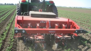 New Weeding Technology Available For Vegetable Growers