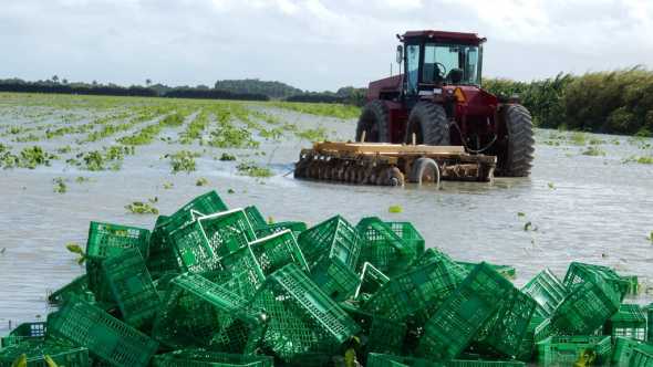 Historic Rainfall Hampering South Florida Farms